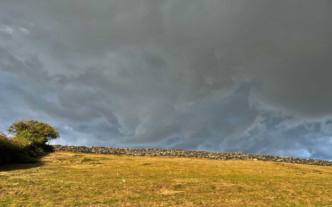 Dark Clouds and Rabbits